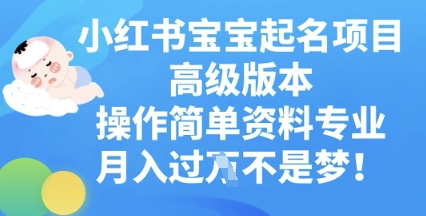 小红书宝宝起名项目高级版本，操作简单，资料专业，月入过W-来必发