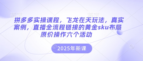 拼多多实操课程，飞龙在天玩法，真实案例，直播全流程链接的黄金sku布局原价操作六个活动-来必发