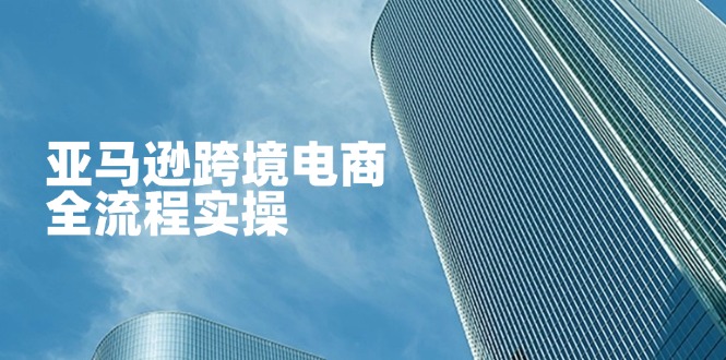 (14252期)亚马逊跨境电商全流程实操,教你从零开始,掌握店铺运营与广告技巧-来必发
