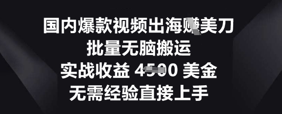 国内爆款视频出海挣美刀，批量无脑搬运，实战收益4.5k，无需经验直接上手-来必发
