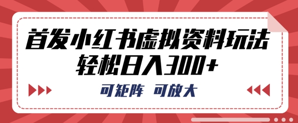 首发小红书虚拟资料玩法，可矩阵，可放大，轻松日入3张-来必发