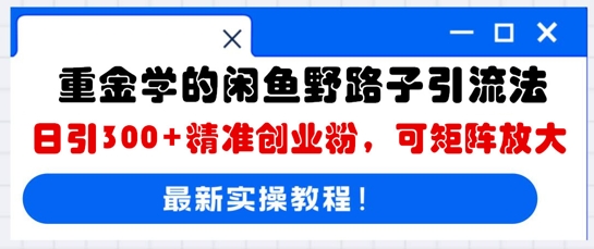 重金学的闲鱼野路子引流法，日引300+精准创业粉，可矩阵放大-来必发