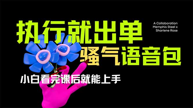 （14170期）爆火全网的开车导航骚气语音包,只要执行就出单，小白看完课程就能实操...-来必发