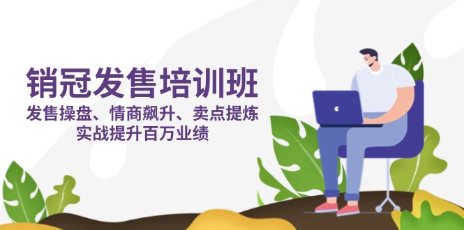 （14203期）销冠 发售培训班：发售 操盘+情商 飙升+卖点 提炼，实战提升百万业绩-来必发