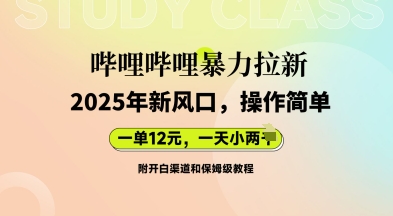 哔哩哔哩暴力拉新：2025年新风口，一单12元，一天数张(附开白渠道和保姆级教程)-来必发