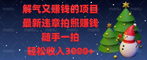 解气又挣钱的项目，最新违章拍照挣钱，随手一拍，轻松收入数张【揭秘】-来必发